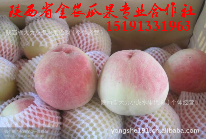 362357033_1978350696_meitu_1