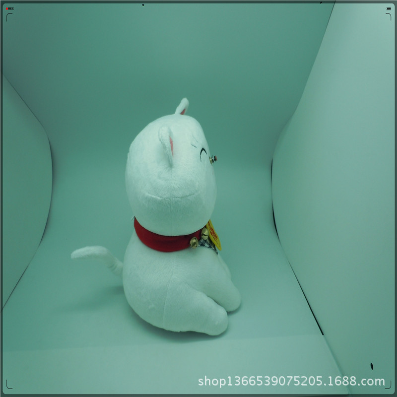 Y-B2011034秒秒招财猫25x16x17CM (2)