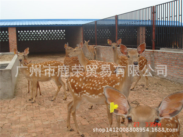 2009311610707524_副本