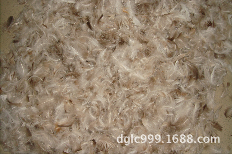 厂家直销水洗鸭毛,高品质环保鸭毛,2-4cm白鸭毛图片_7