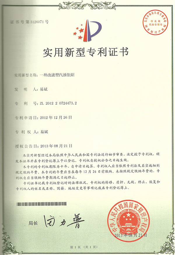 大像素13年专利