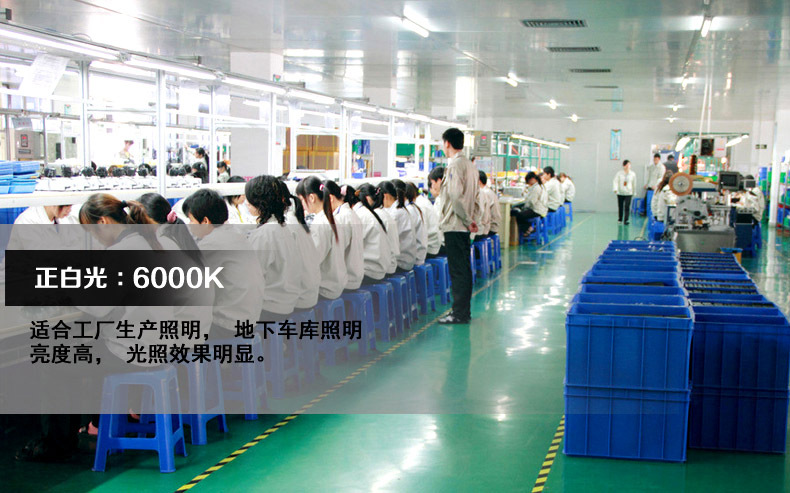 车间 效果图