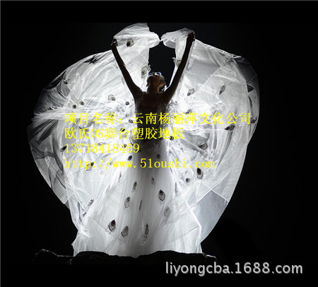 杨丽萍文化公司1 (1)_副本