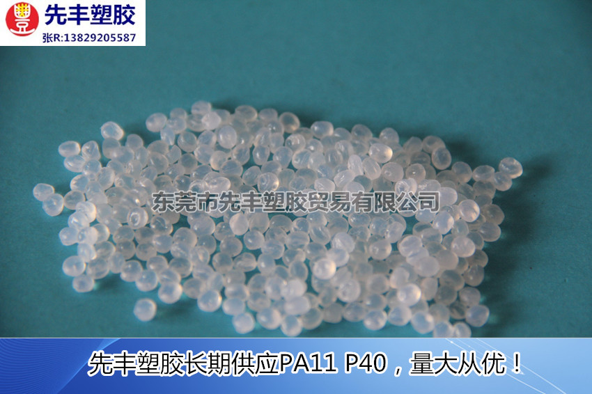PA11 P40(4)_副本