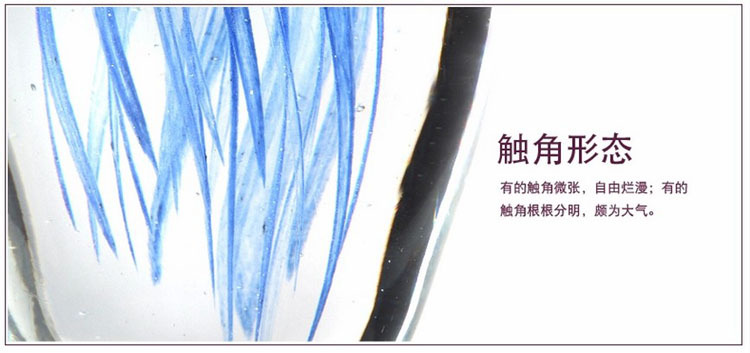 介绍3