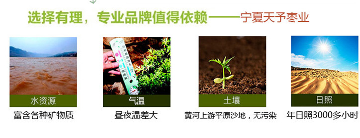红枣详情页_07