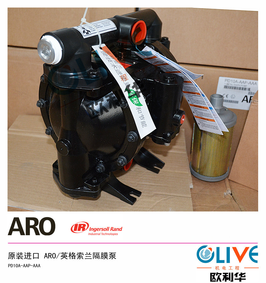PD10A-AAP-AAA 英格索兰气动隔膜泵 (3)