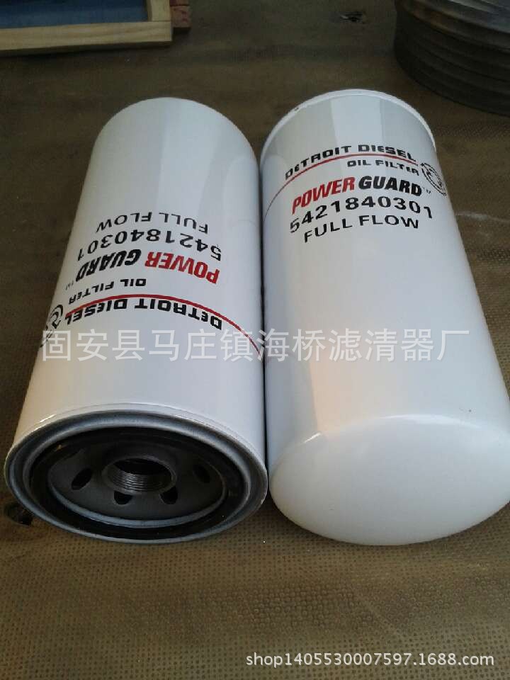 底特律5241840301 E12980181 P55051