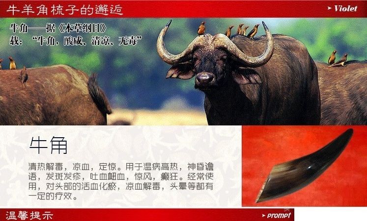 东莞义乌供应水牛角摆件 精品牛角 非洲牛角制品aa86