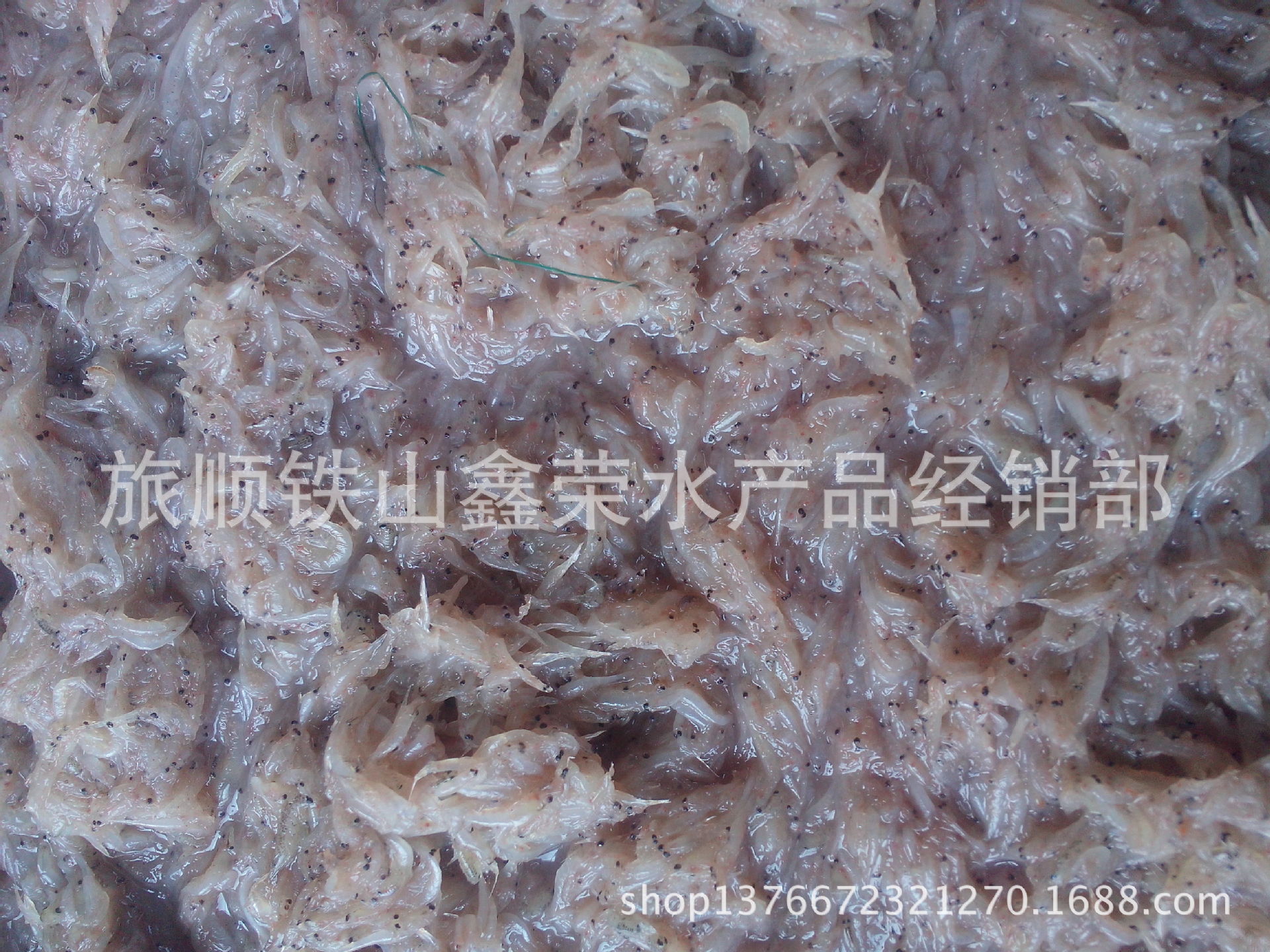 鱼粉蜢虾 冻板蜢子虾 饵料 饲料虾 大连饲料鱼