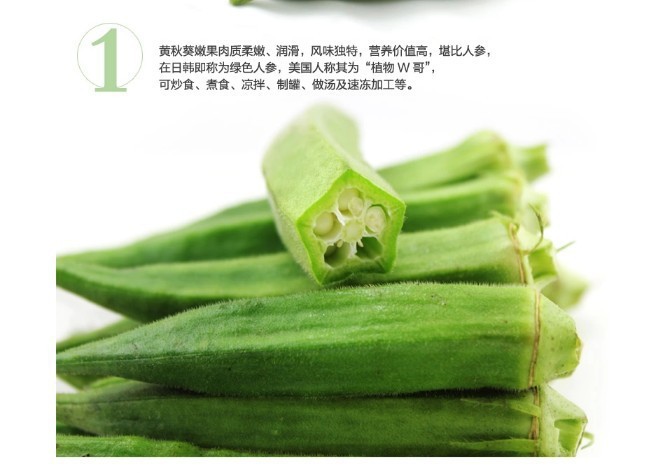 出售黄秋葵种子图片,出售黄秋葵种子图片大全,偃师市