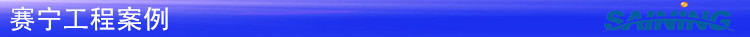 赛宁工程案例_副本