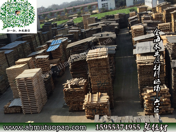 金海木业原材料晒场—六区