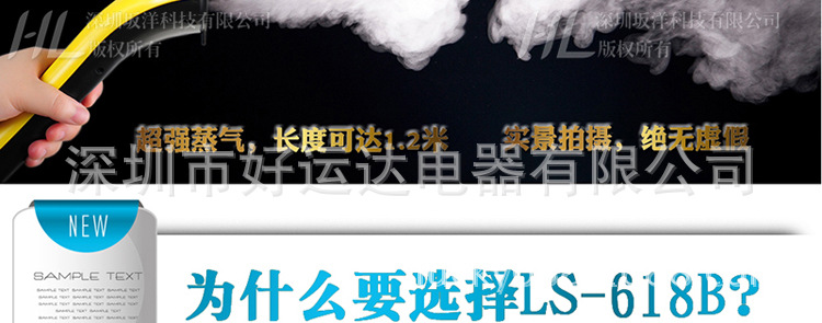 ls-618b-750_13