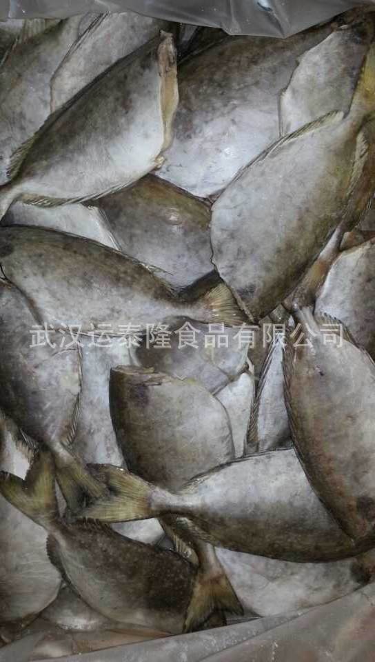 春季大促又入大洋单熟虾和柠檬鱼啦!