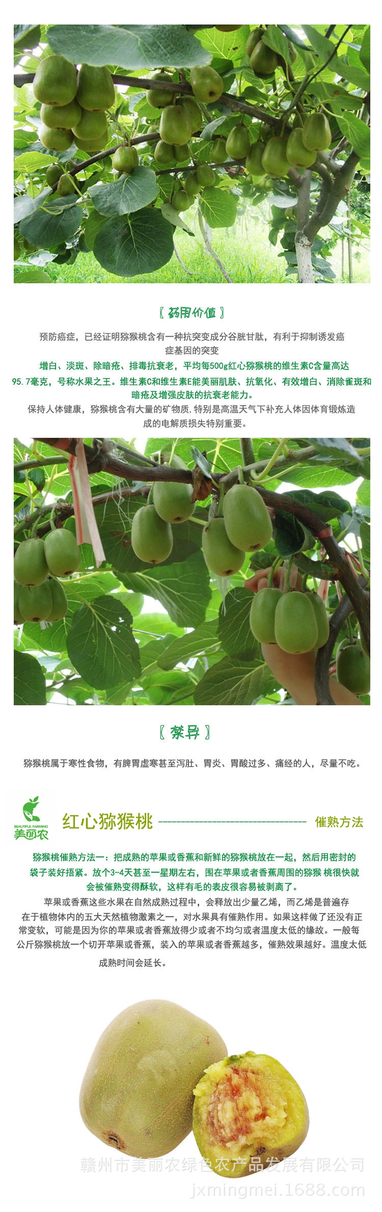 介绍2
