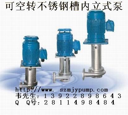 槽内立式泵不锈刚1