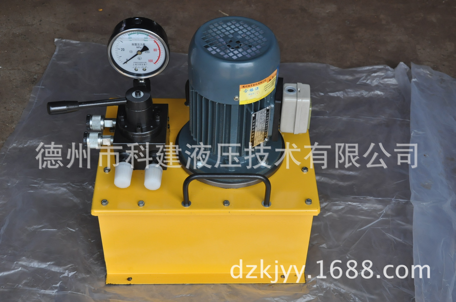 DSS型 电动泵 (3)