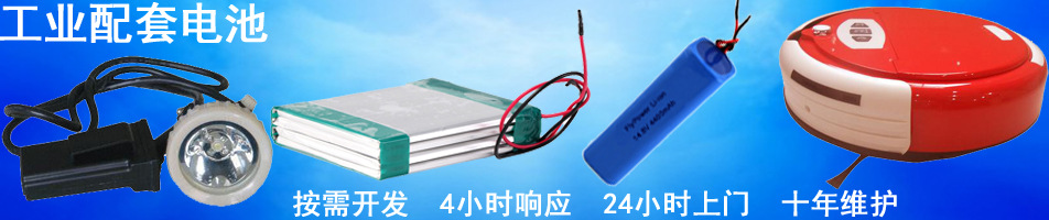 工業(yè)配套電池