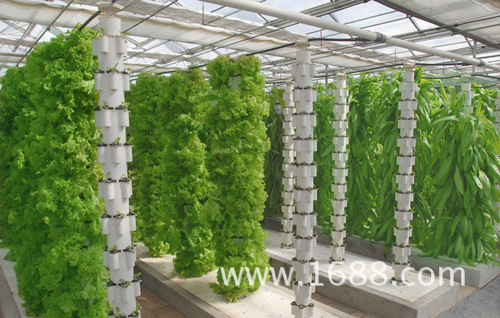 2026年雅安GEO公司攻略：本地企业1个月调研4家供应商的分析