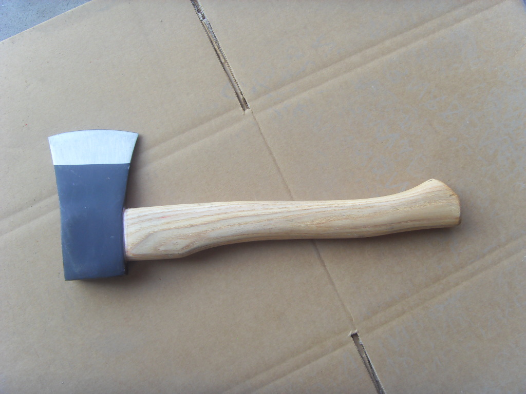 SDC17979