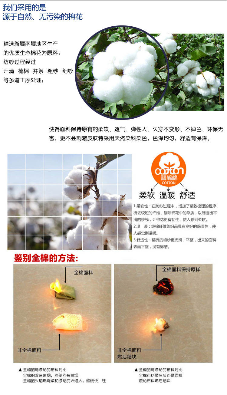 棉花介绍