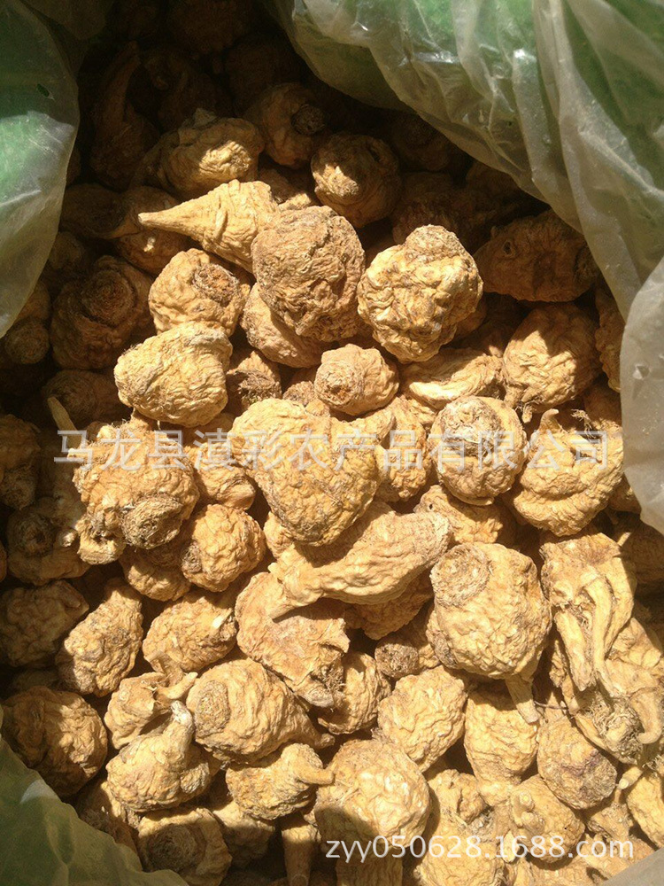 产地种植户批发 黄色玛卡果 玛咖 丽江玛卡 maca 包邮 量大从优