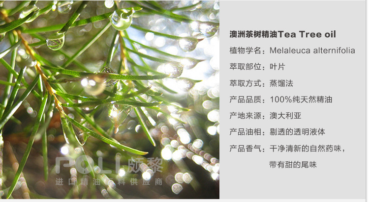 进口澳大利亚 澳洲茶树精油 互叶白千层精油【颇黎poli】