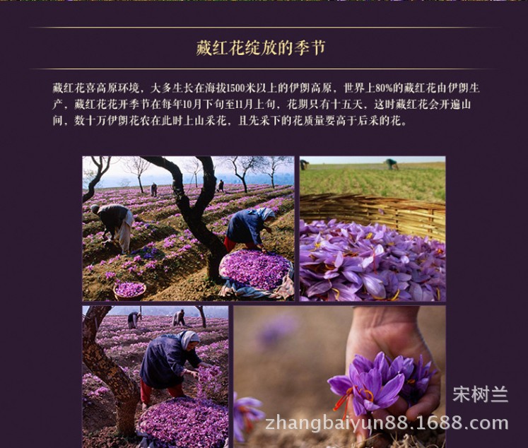 详情27