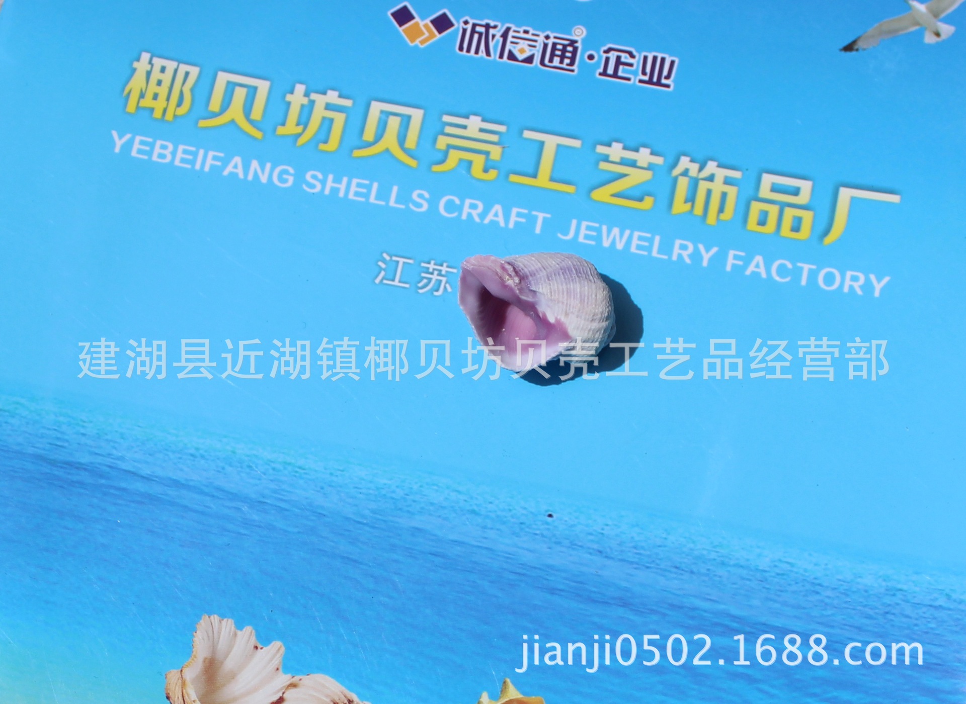 IMG_0787_2345看图王