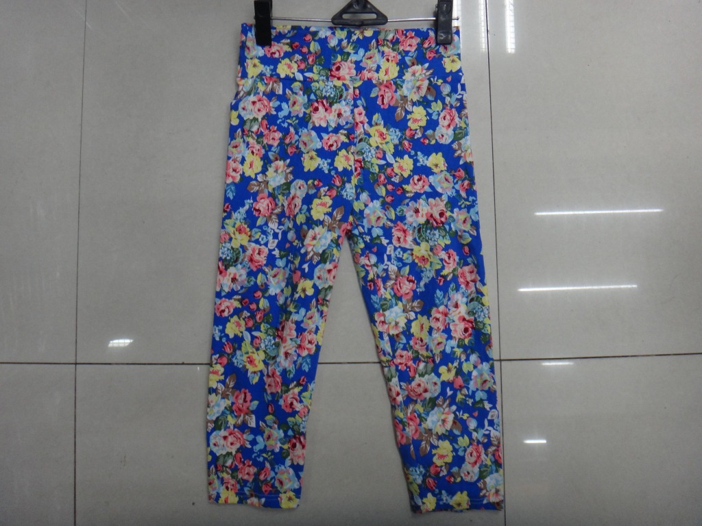 DSC01017