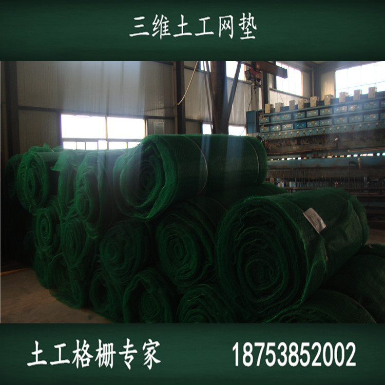 泰安三维土工网垫生产厂家出厂价供应hdpe土工网垫,用于公路水利
