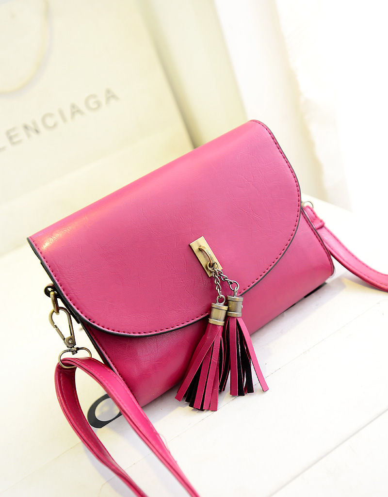 2014 新款 自拍 小流苏包包<em>女式包</em>找<em>代理</em>支持一