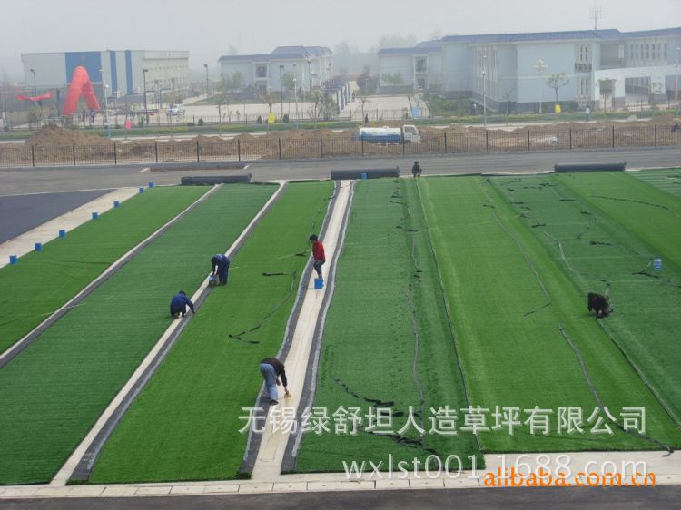 310026320_1777533011