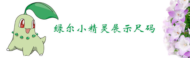 模板-尺碼展示