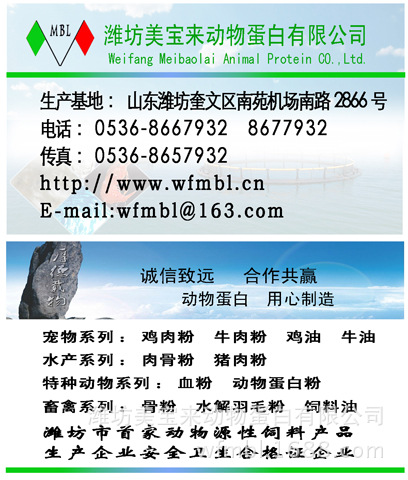 名片2
