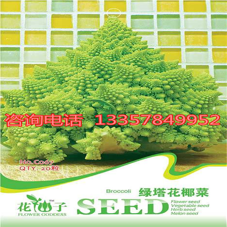 【绿塔花椰菜袋装种子阳台盆栽庭院种植 家庭