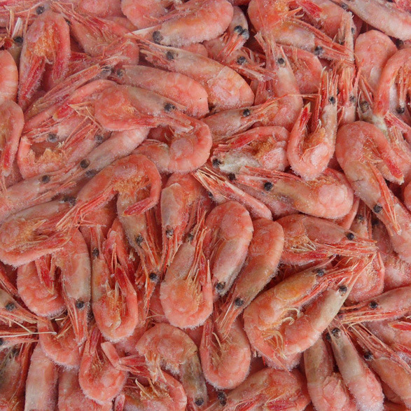 1539333320_1908102804