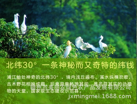 前置11