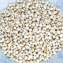 云南贝母_云南贝母价格_优质云南贝母批发\/采