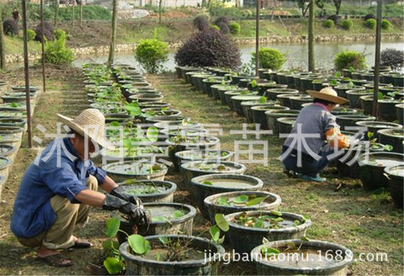 ea3a720e0cf3d7cae99734cbf21fbe