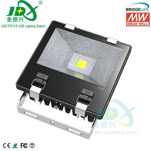 JDFL10003- 100W Bridgelux Mean