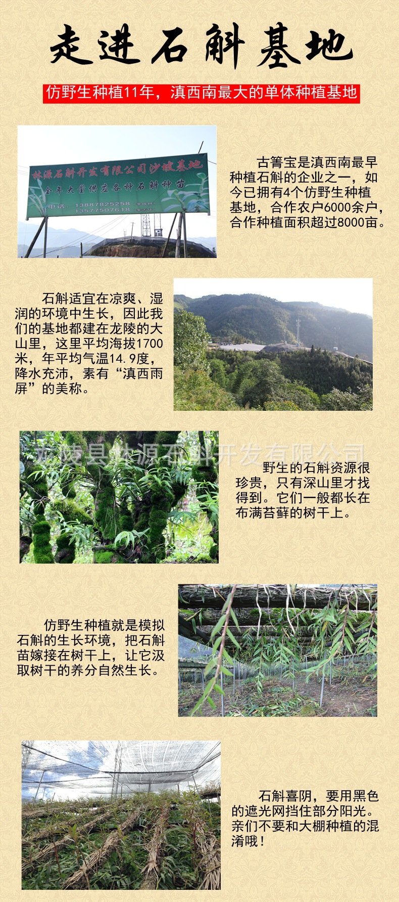 基地一