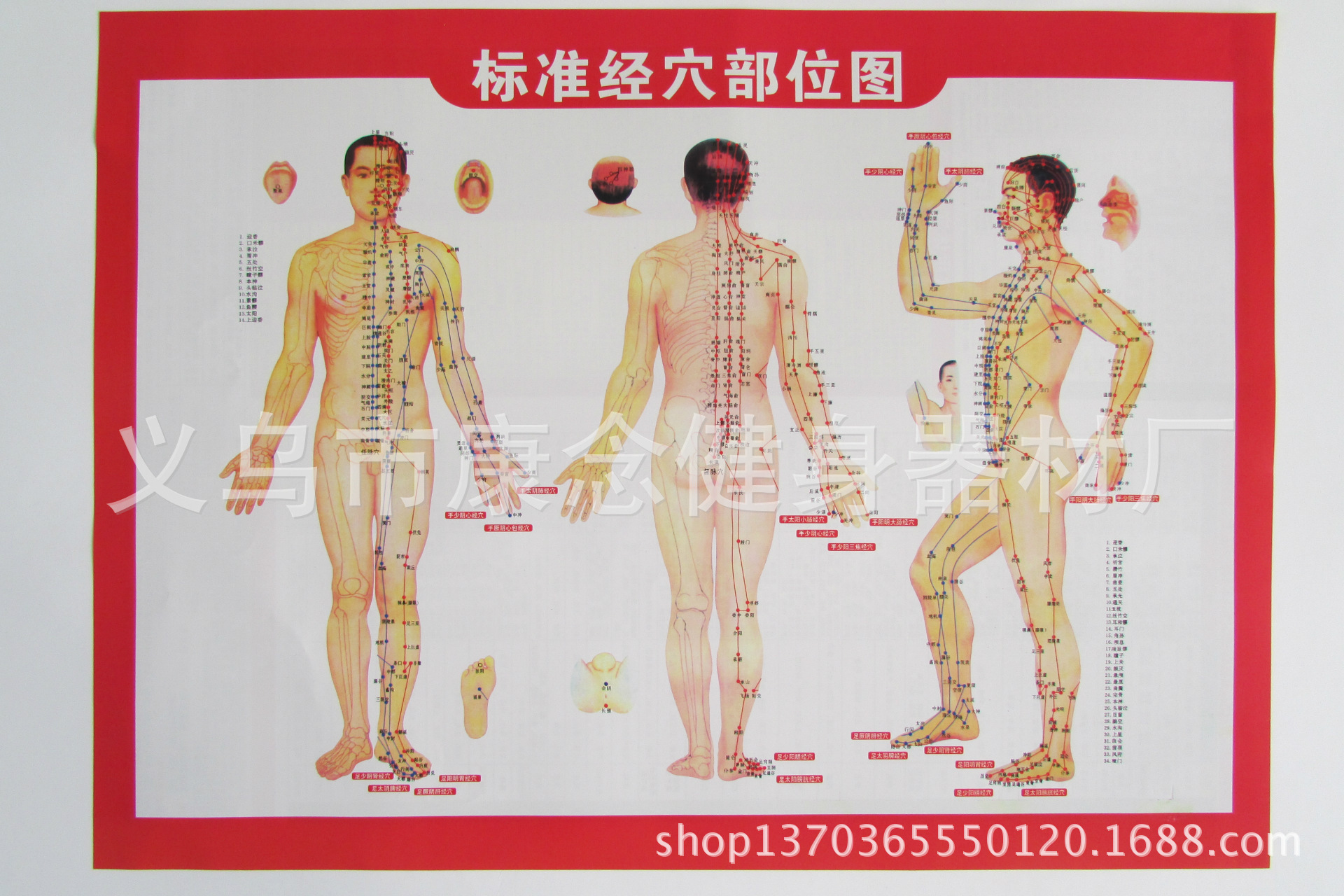 批发穴位图 拔罐 刮痧 按摩 人体经络图 挂图 高清版艾灸图