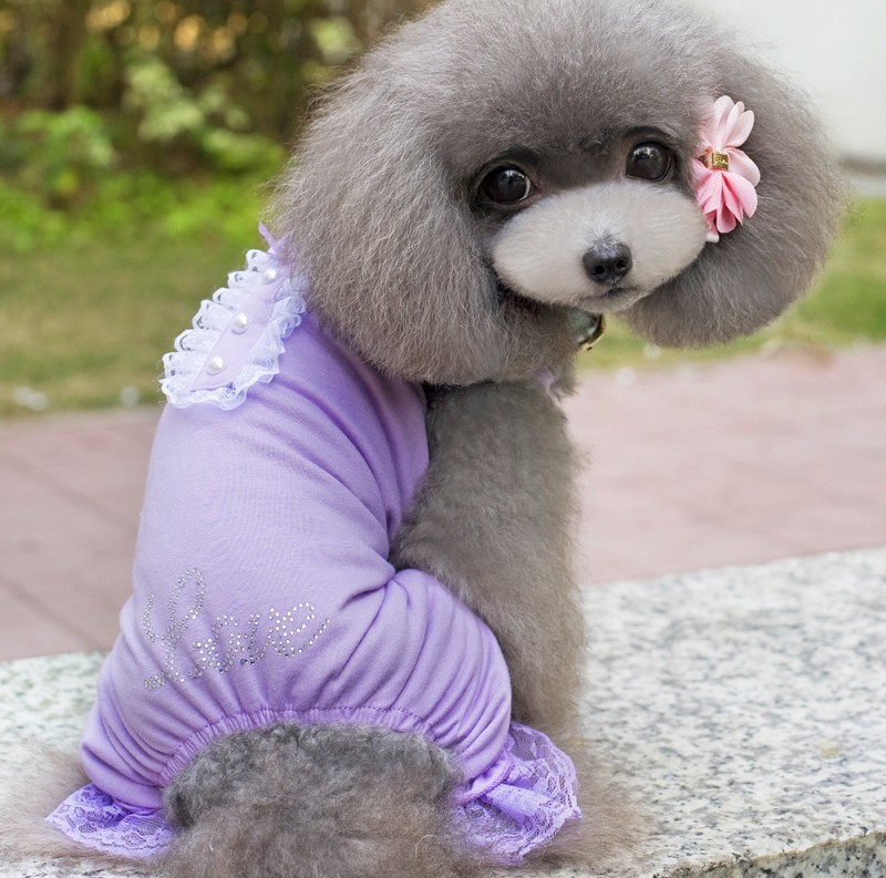 批发采购狗狗服装服饰-厂家直销新款宠物衣服