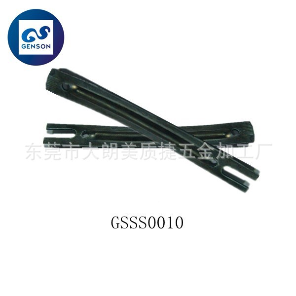 GSSS0010