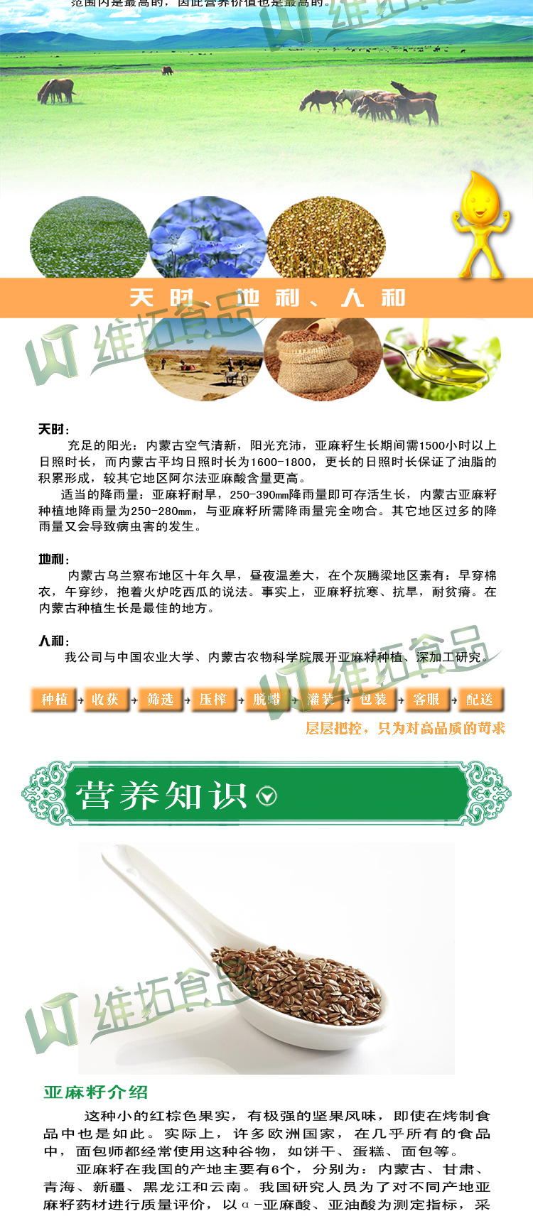 養(yǎng)生堂推薦五谷城內(nèi)蒙古特產(chǎn)黃金亞麻籽250g 非轉(zhuǎn)基因