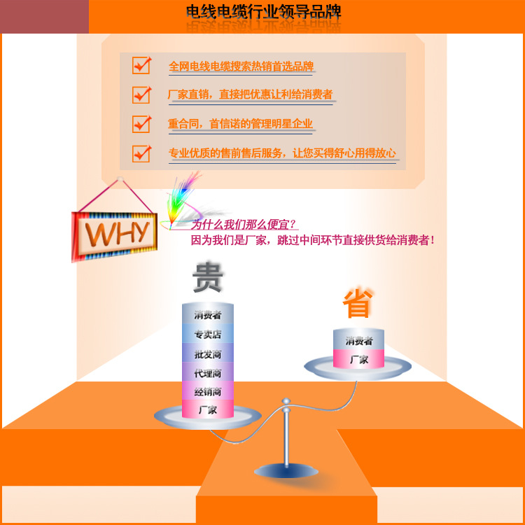 模板-行业领导品牌1