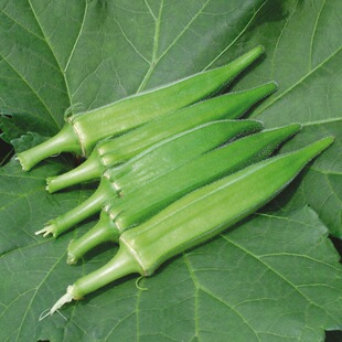 菜 黄秋葵-其他新鲜蔬菜尽在阿里巴巴-农产品批