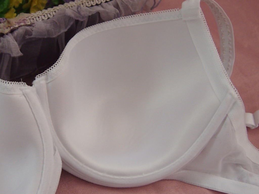 <em>文胸</em>-外贸文胸批发 原单SPRIT<em>品牌 大码文胸</em>-文